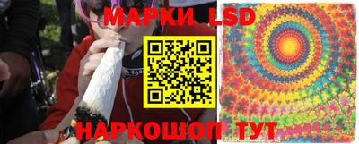 дживик Будённовск