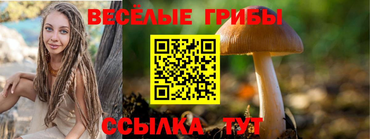 цена наркотик  Вход с VPN  Бирск  Галлюциногенные грибы мицелий 