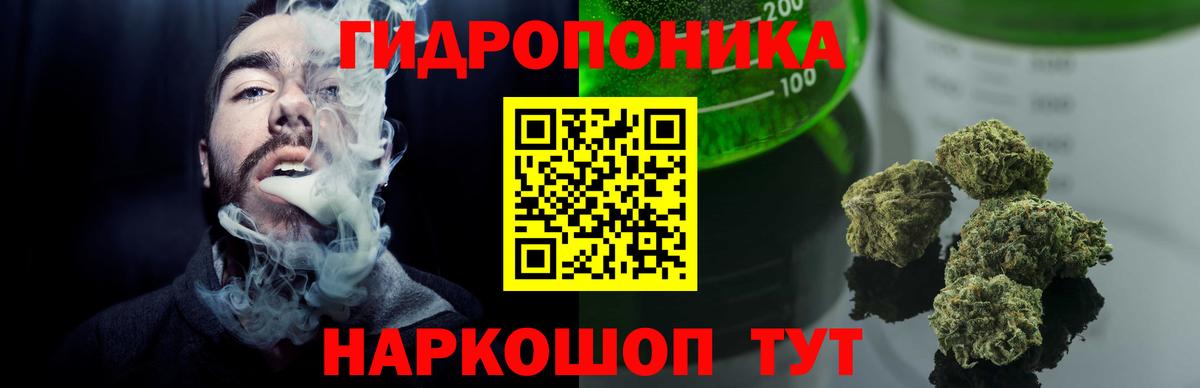 Канабис семена Бирск